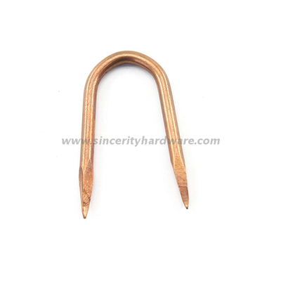 Rolled Point Copper Coated Staple